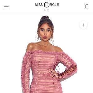 Rose Darling Off Shoulder Mesh Dress